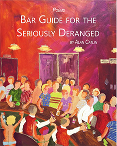 Cover of Bar Buide for the Seriously Deranged